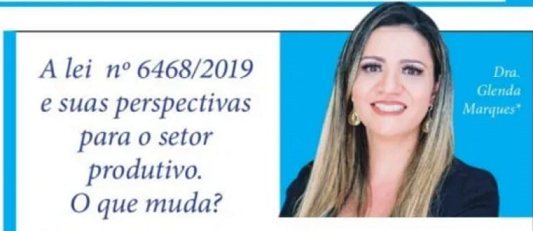 A lei  nº 6468/2019 e suas perspectivas para o setor produtivo. O que muda?